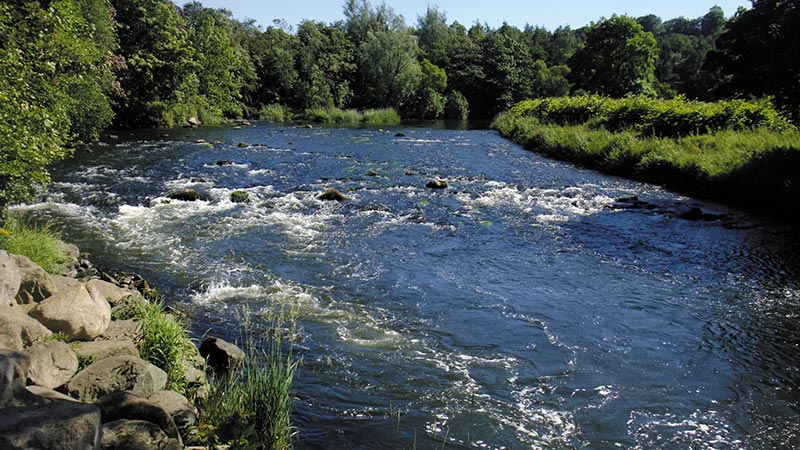 A stretch of the River Don